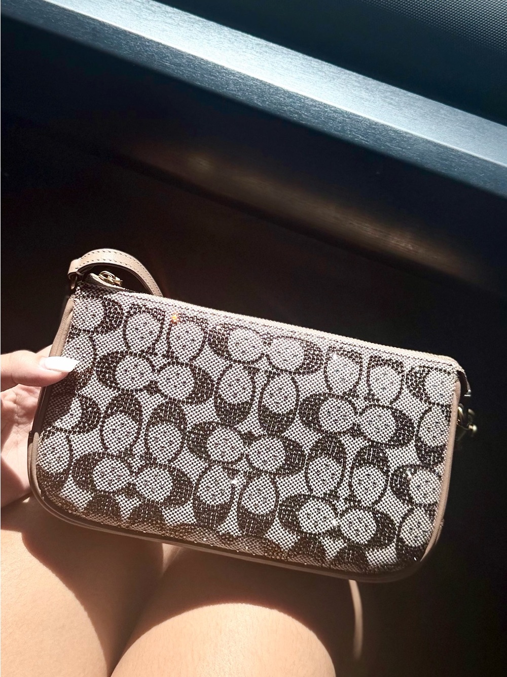 Coach Plaza Bag in Crystal Signature Jacquard